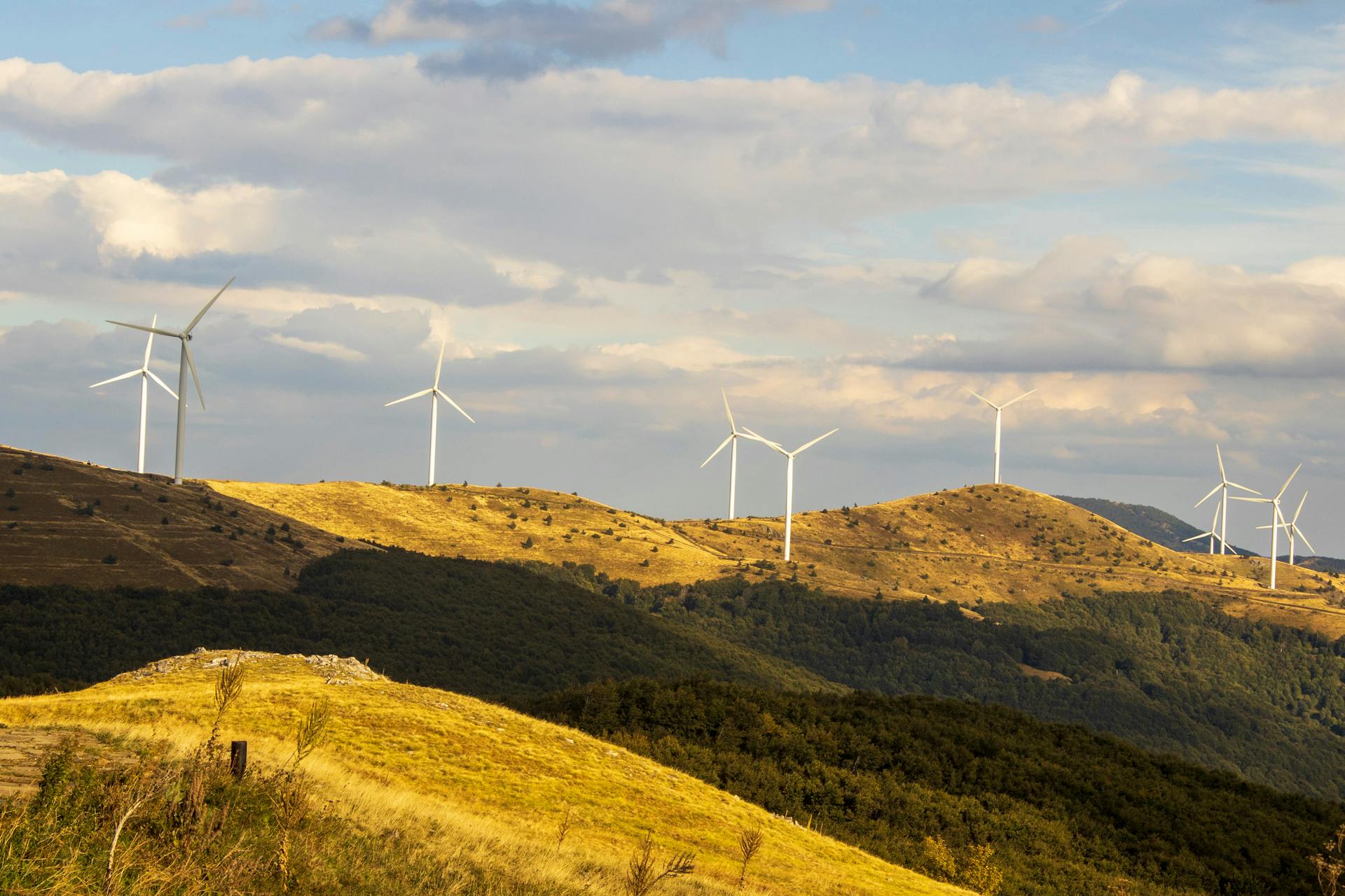 Sustainability